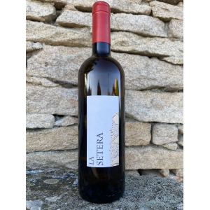 LA SETERA VINO NARANJA 2023 NOVEDAD