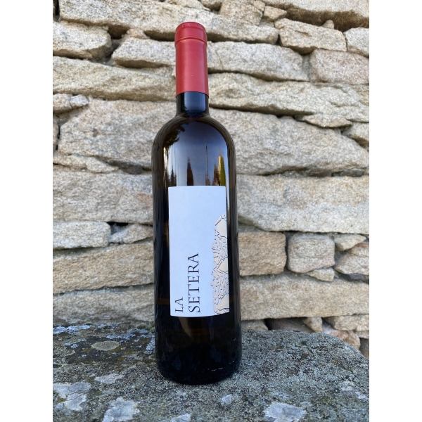 LA SETERA VINO NARANJA 2023 NOVEDAD