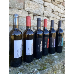 Caja Las 6 Referencias de Vinos La Setera NOVEDAD DISPONIBLE
